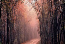 多家球队晋级下一轮，竞争愈发激烈