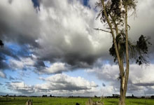 捷克球员奥乔利宣布离开勒沃库森，新征程在即