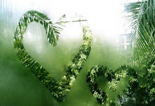 热刺后防难守，球队惨遭逆转