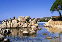 精彩瞬间重现赛场传奇